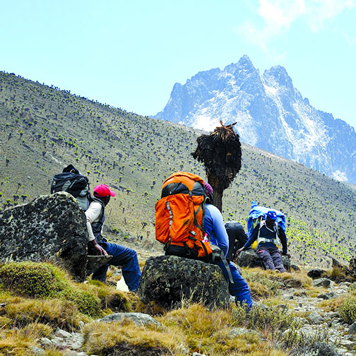 Alpine holidays - the mountain trekking experts