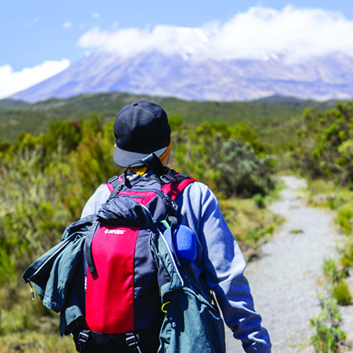 mount kilimanjaro trekking - Lemosho route